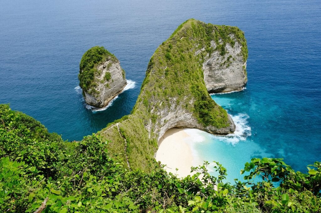 bali, nature, indonesia, kelingking, sea, island, tree, forest